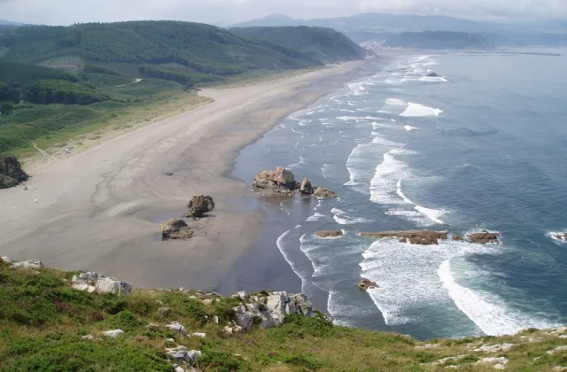 Playón de Bayas (zona canina)