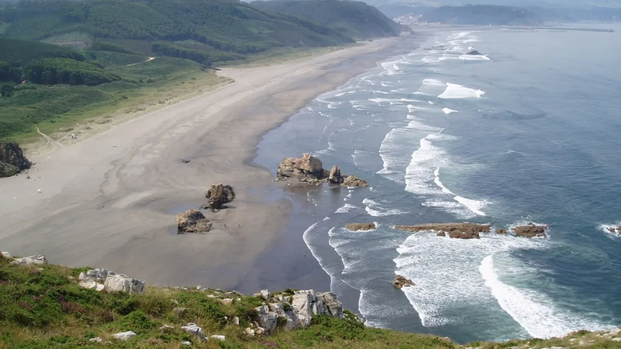 Playón de Bayas (zona canina)