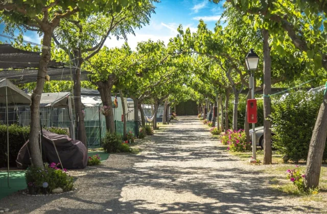 Camping Clarà
