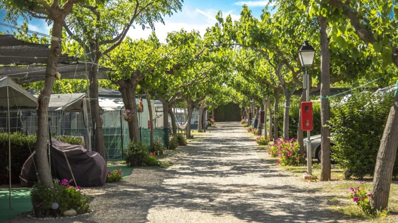 Camping Clarà