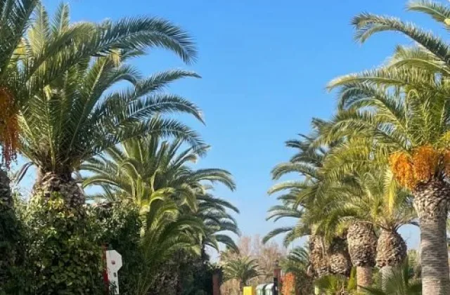 Camping Malvarrosa de Corinto