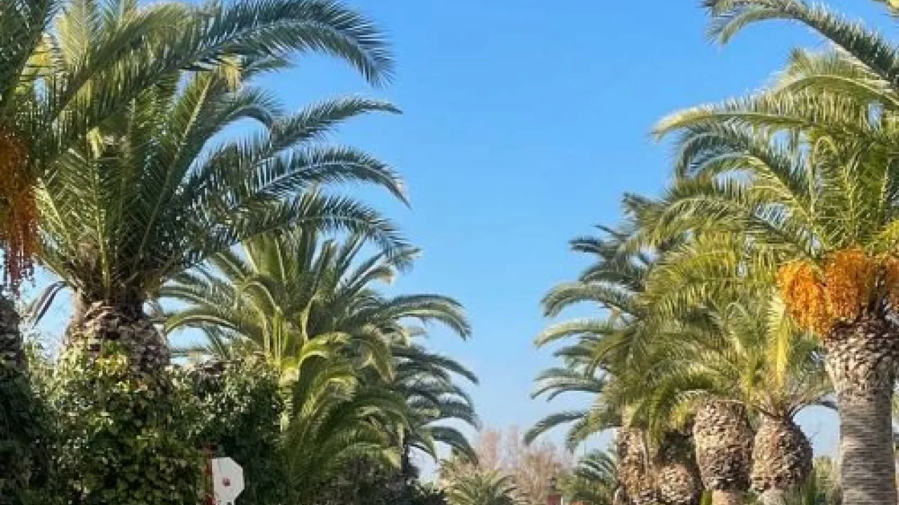 Camping Malvarrosa de Corinto