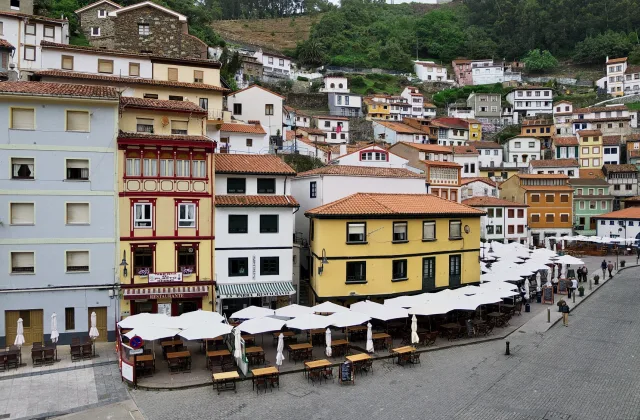 Asturias con perro: playas, dónde dormir, dónde comer y qué hacer (guía 2026)