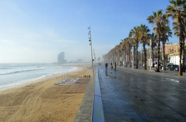 Barcelona con perro: playas, dónde dormir, dónde comer y qué hacer (guía 2026)