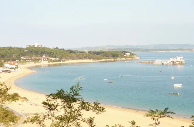 Cantabria con perro: playas, dónde dormir, dónde comer y qué hacer (guía 2026)