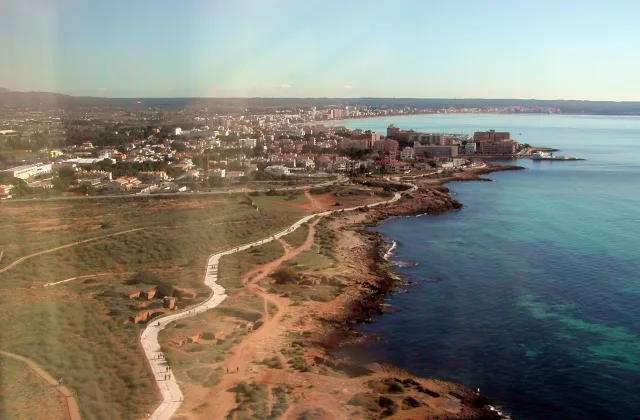 Mallorca con perro: playas, dónde dormir, dónde comer y qué hacer (guía 2026)