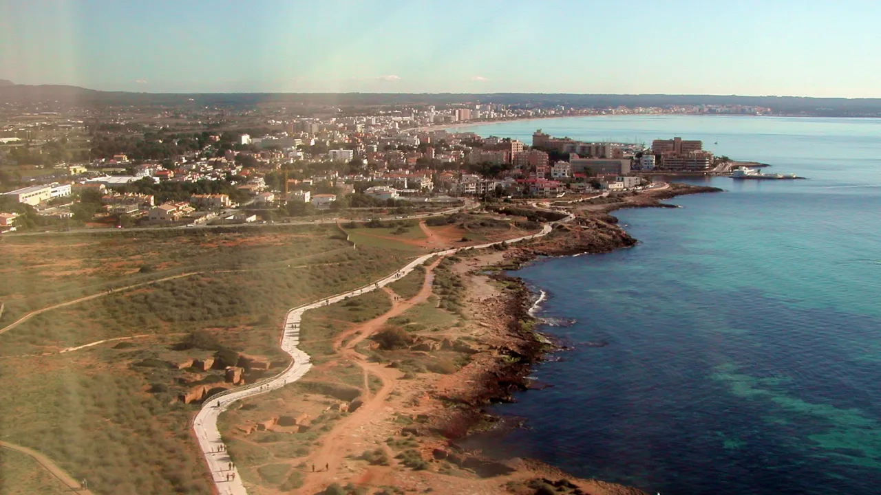 Mallorca con perro: playas, dónde dormir, dónde comer y qué hacer (guía 2026)