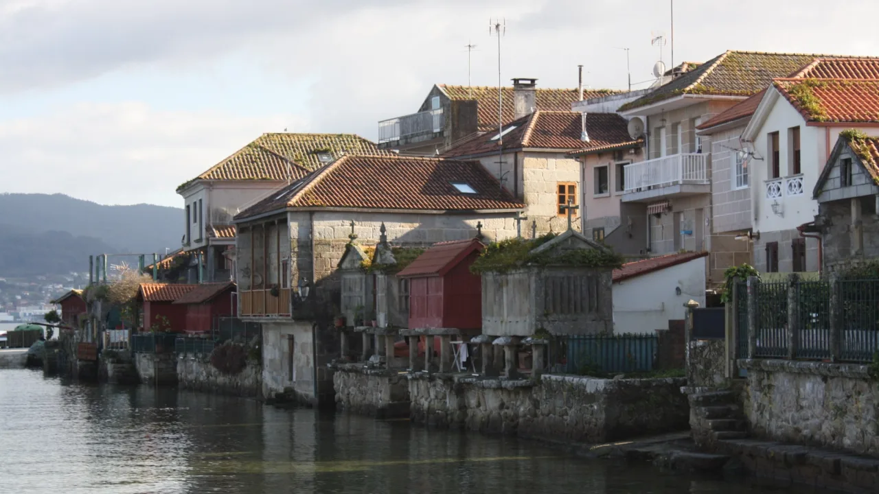 Rías Baixas con perro: playas, dónde dormir, dónde comer y qué hacer (guía 2026)