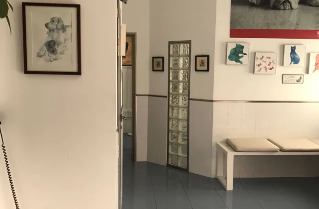 Equican Veterinarios