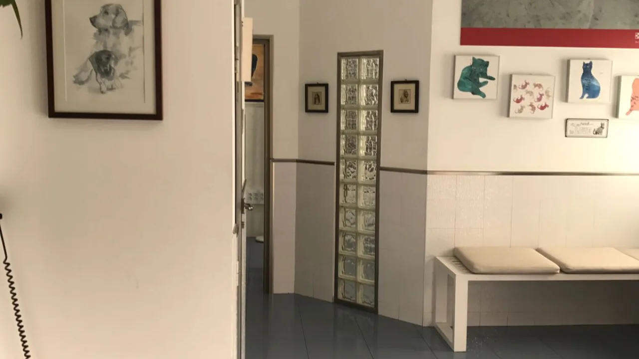 Equican Veterinarios