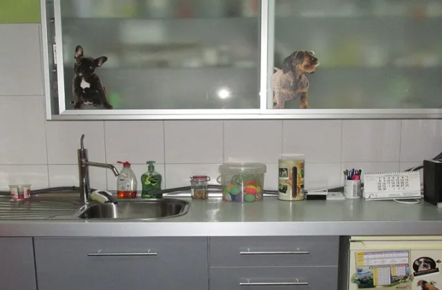 Clínica Veterinaria Alfa