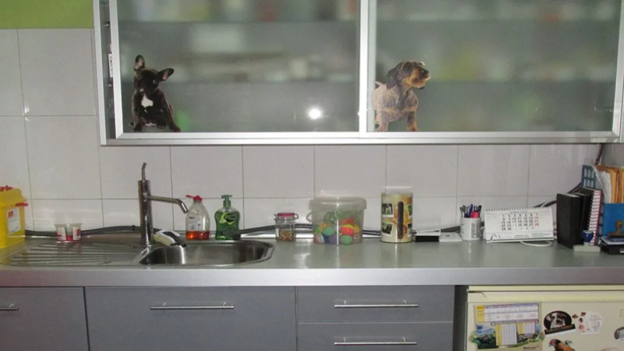 Clínica Veterinaria Alfa
