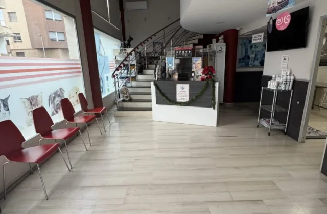Centro Veterinario Pintos