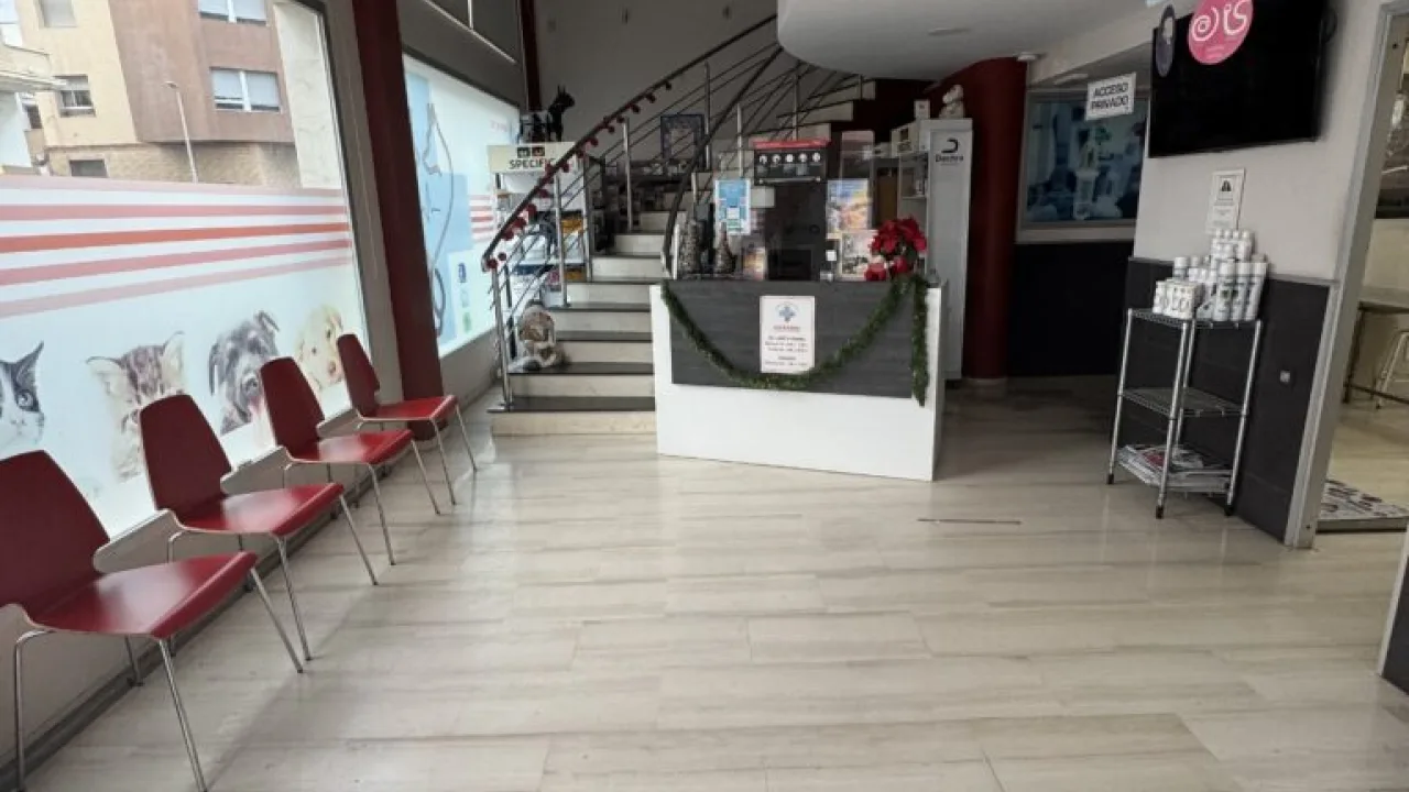 Centro Veterinario Pintos