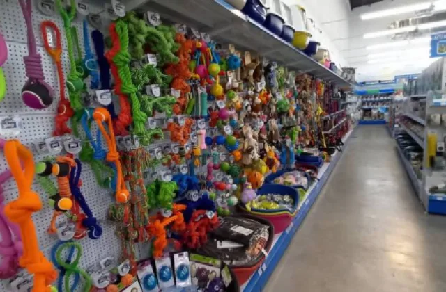 Anysa Ganadera Nutrizoo