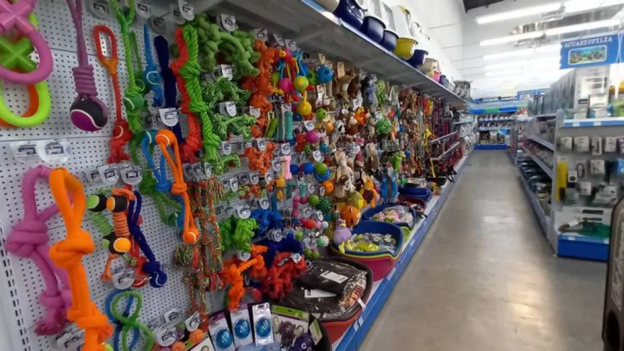 Anysa Ganadera Nutrizoo