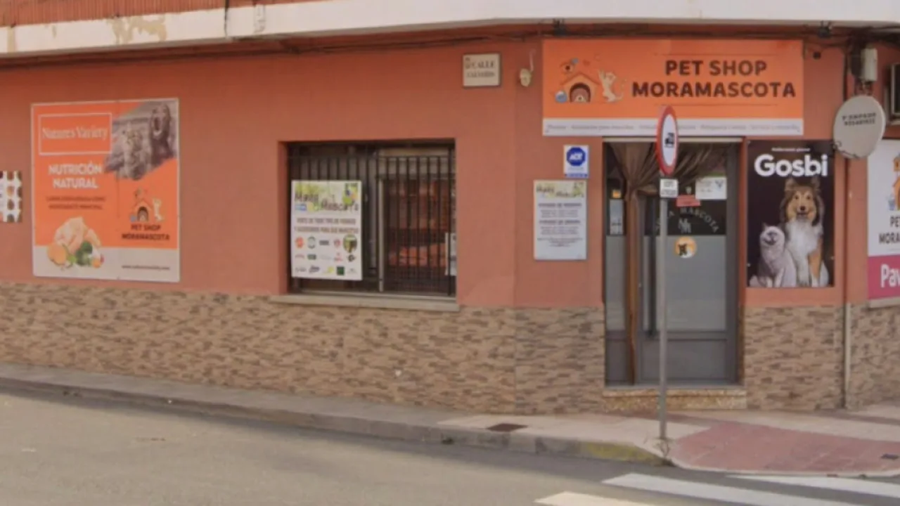 Mora Mascota