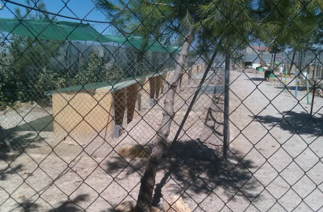 Residencia Canina Sultán