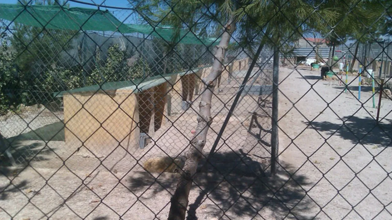 Residencia Canina Sultán