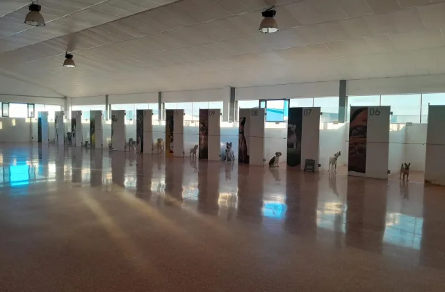 Dog Village