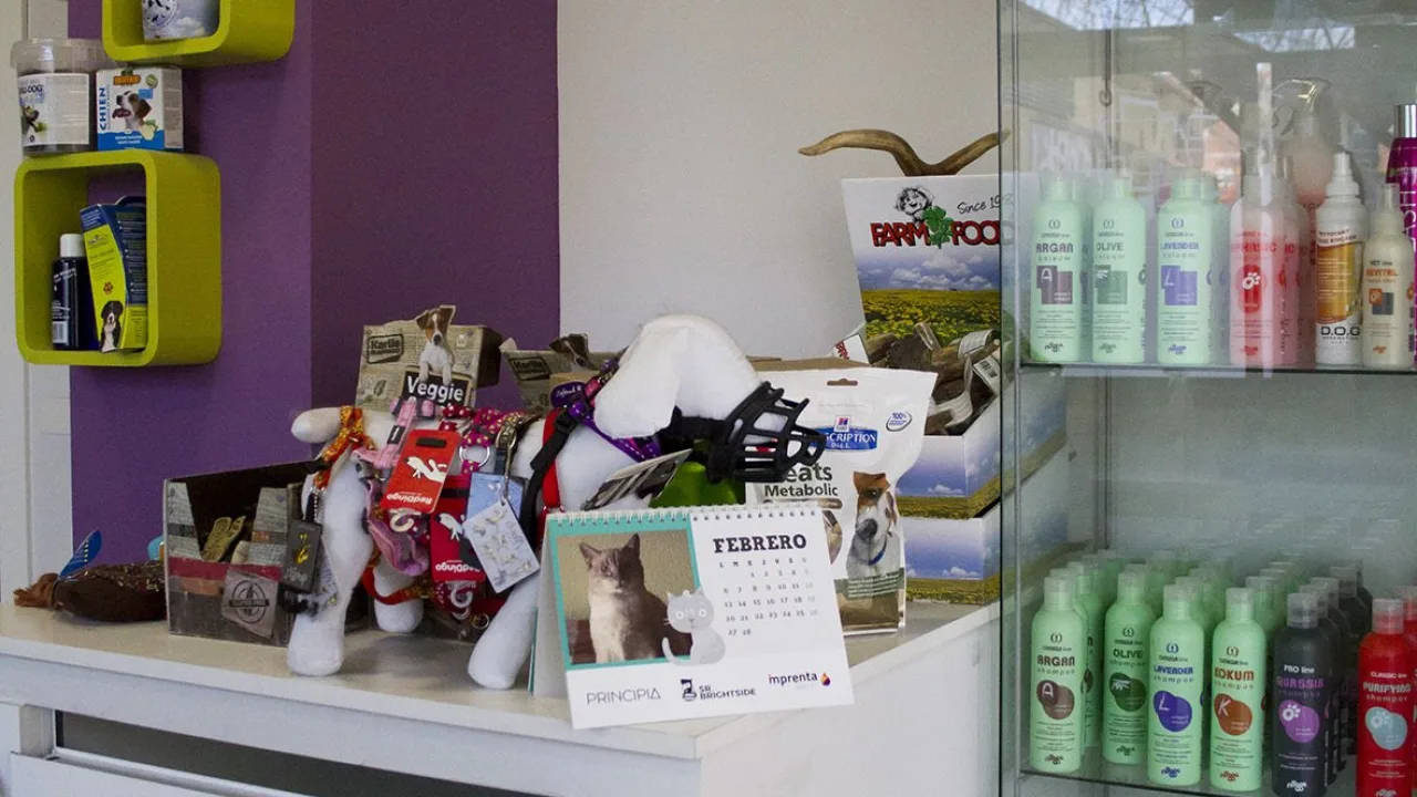 Dog Room