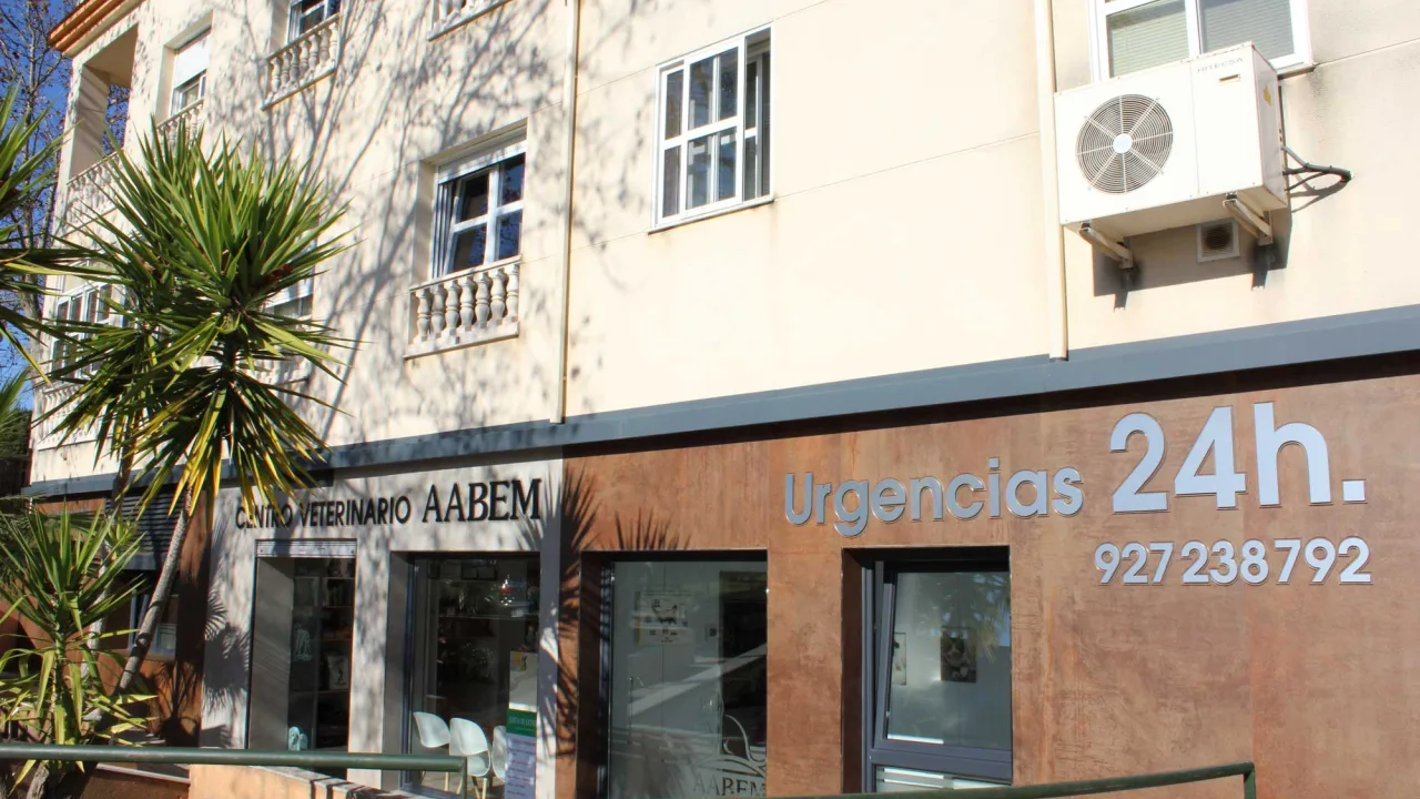 Clínica Veterinaria AABEM