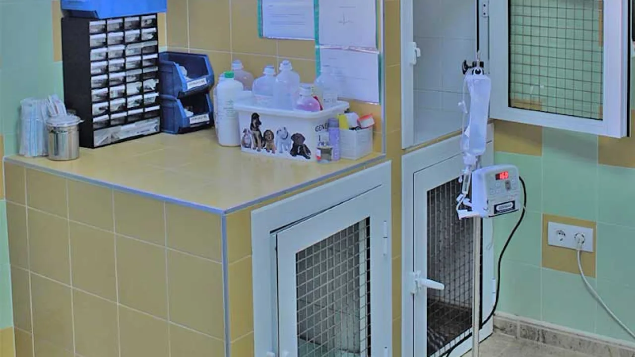 Clínica Veterinaria Manatí