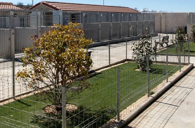 Residencia Canina Nuestra Señora de Sonsoles