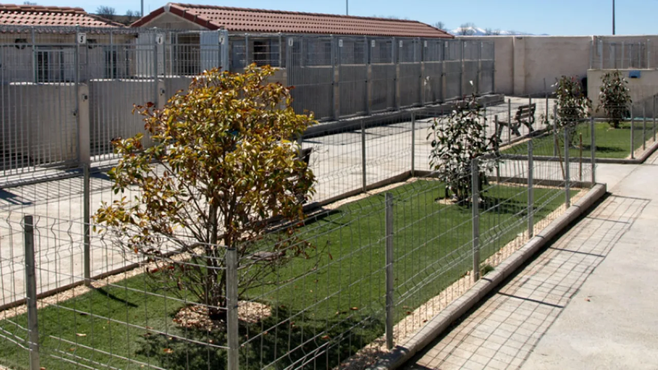 Residencia Canina Nuestra Señora de Sonsoles