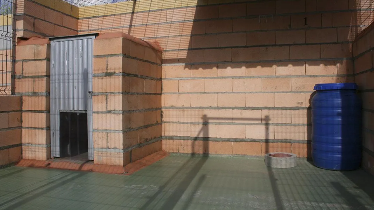 Residencia Canina y Ecuestre Babieca
