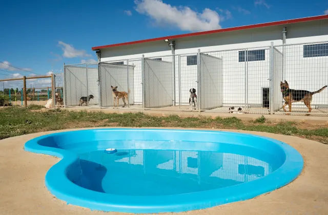 Hotel Canino Ruralvet