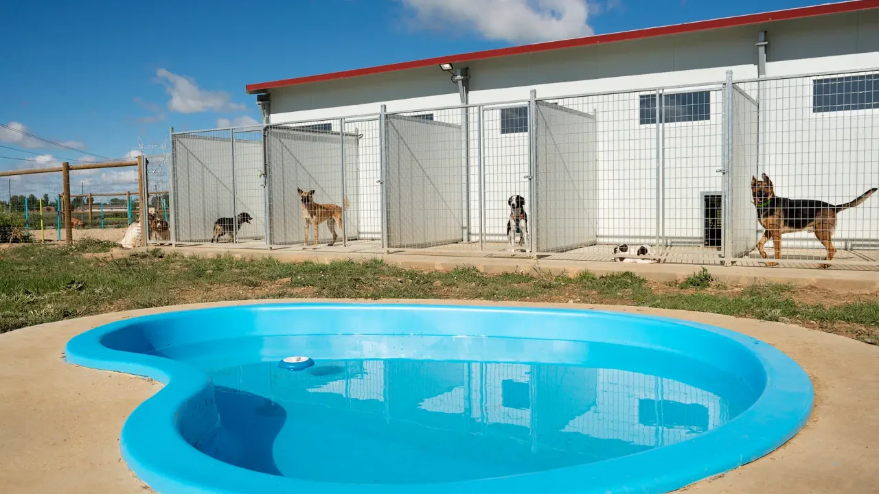 Hotel Canino Ruralvet