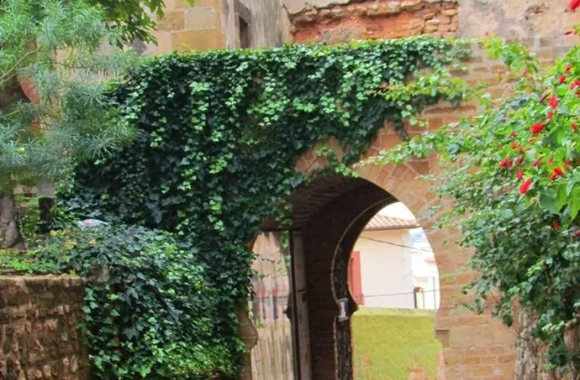 Visita libre al exterior del Castillo de Dénia con perro