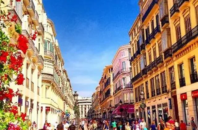 Free Tour Málaga Centro Histórico con perro — Malagaturismo.es