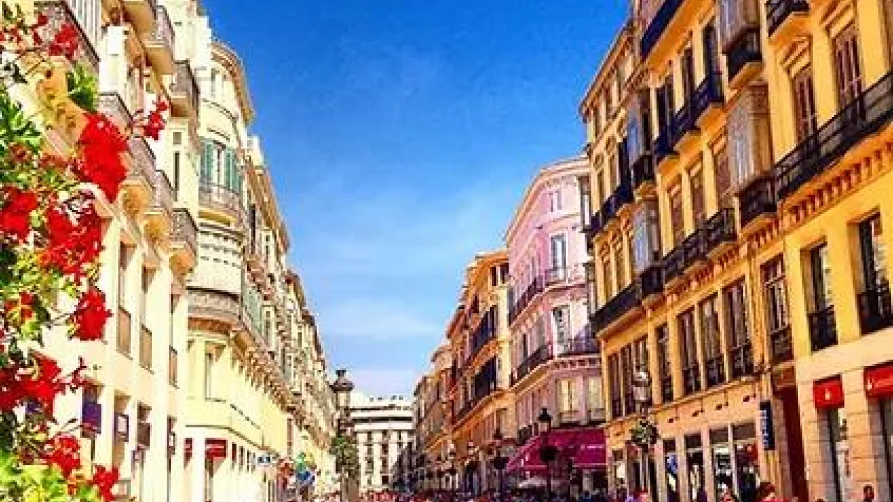 Free Tour Málaga Centro Histórico con perro — Malagaturismo.es