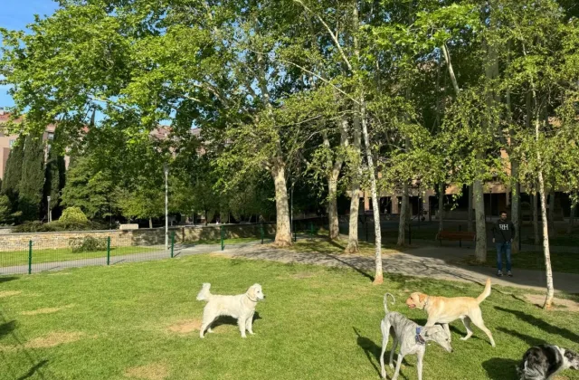 Zona de esparcimiento canino de la Plaza Diego Camporredondo