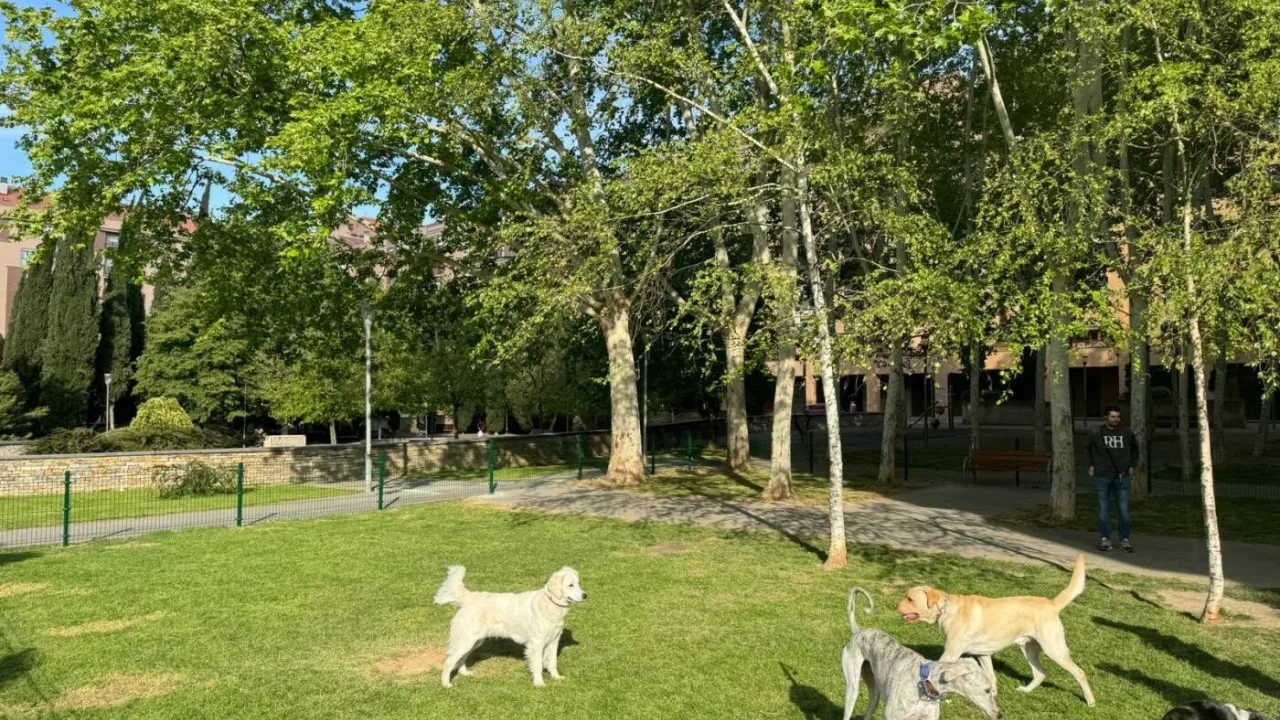 Zona de esparcimiento canino de la Plaza Diego Camporredondo