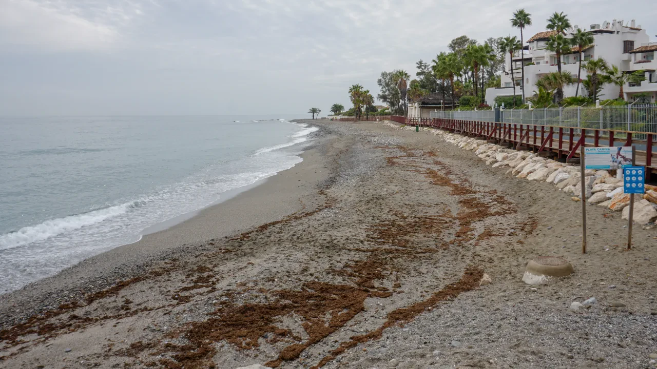 Playa canina de Ventura del Mar