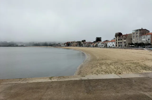 Praia canina do Areal