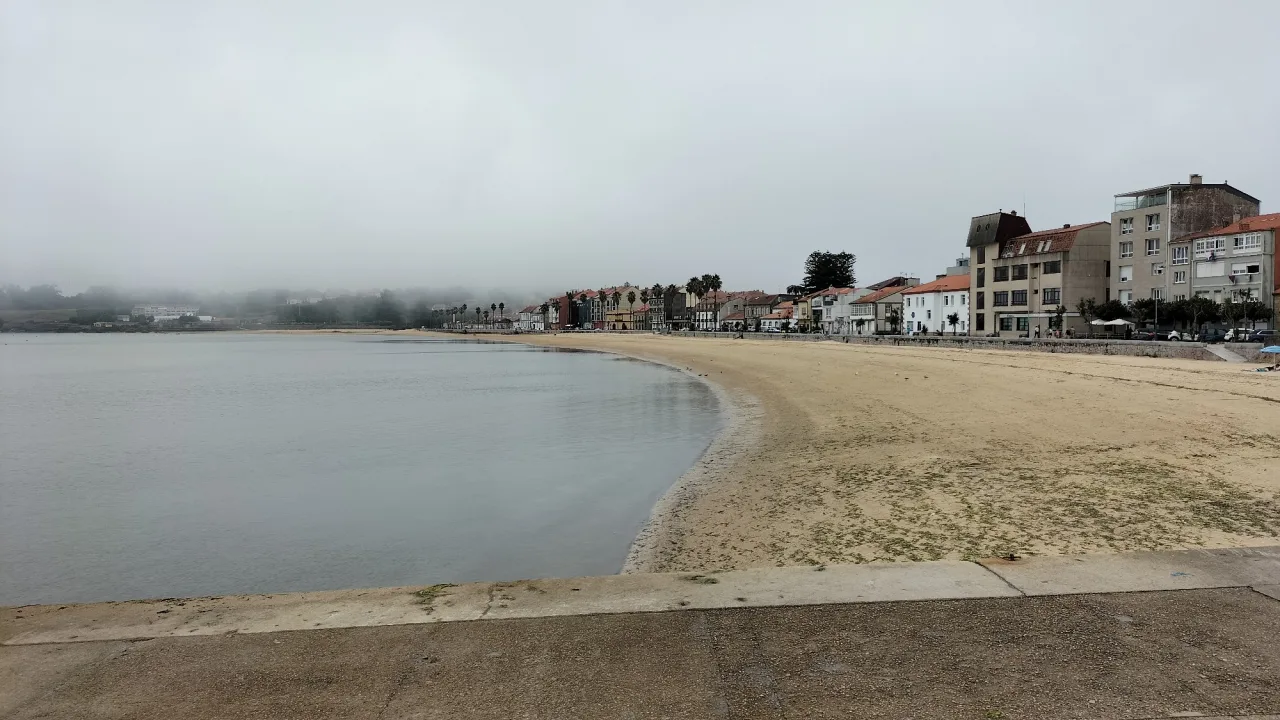Praia canina do Areal