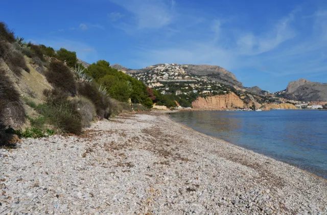 Zona canina de la playa de l'Olla