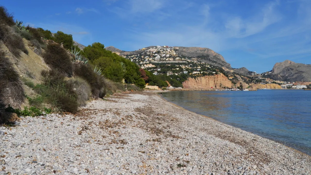 Zona canina de la playa de l'Olla