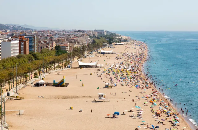 Àrea per a gossos de la Platja Gran (Calella)