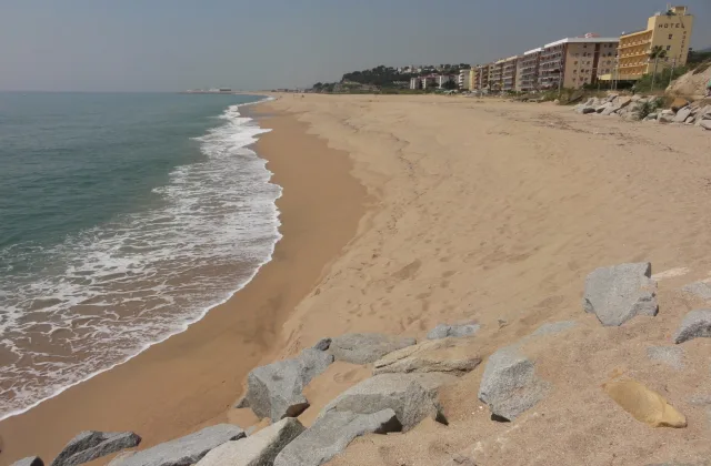 Àrea de gossos de la platja del Cavaió (Canet de Mar)