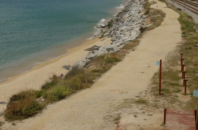 Platja de la Picòrdia (Arenys de Mar)