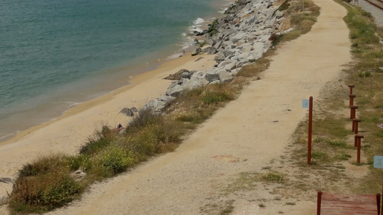 Platja de la Picòrdia (Arenys de Mar)