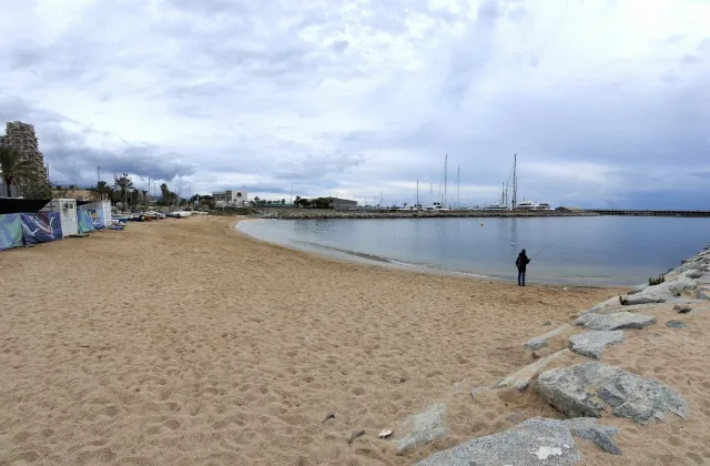 Platja per a gossos de Ponent (Mataró)