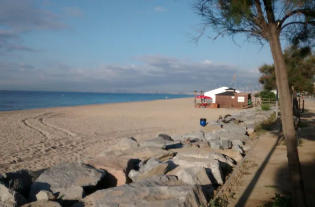 Espai per a gossos de la platja d'Ocata (El Masnou)