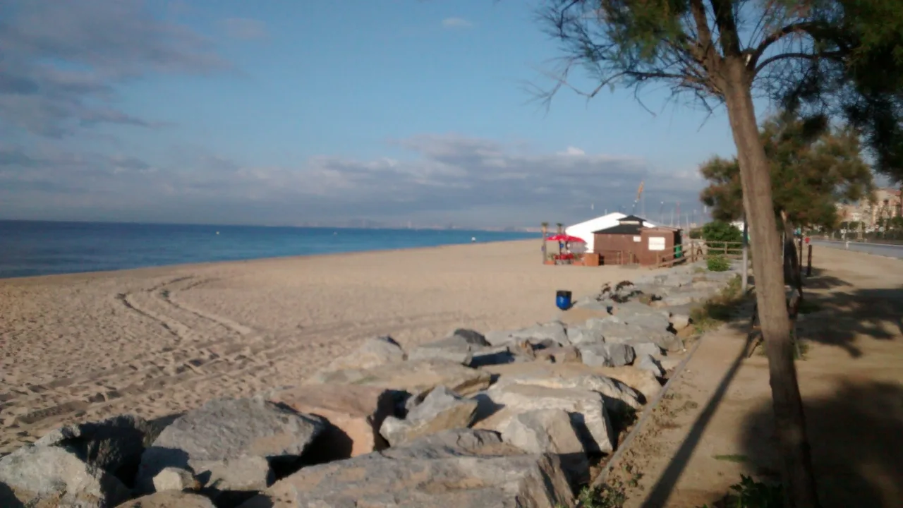 Espai per a gossos de la platja d'Ocata (El Masnou)