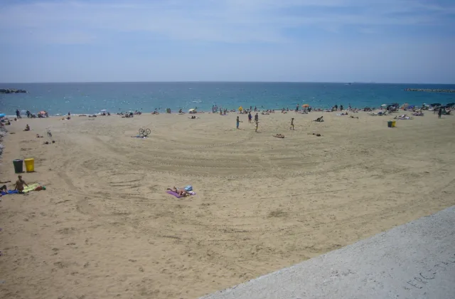 Àrea per a gossos de la platja de Llevant (Barcelona)
